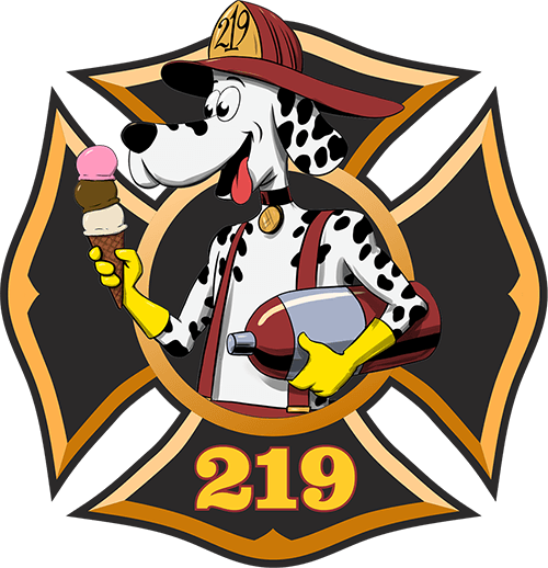 Netsins 219 badge